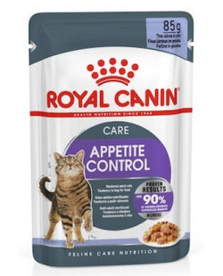 Royal Canin Appetite Control Care karma mokra w galaretce dla kotów dorosłych, domagających się jedzenia saszetka 85g