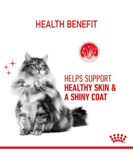 Royal Canin Hair&Skin Care karma sucha dla kotów dorosłych, lśniąca sierść i zdrowa skóra 400g