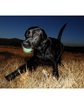 Chuckit! Max Glow Ball Medium [32313]