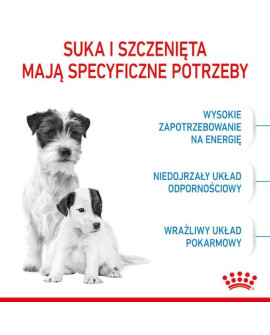 Royal Canin Mini Starter Mother&Babydog karma sucha dla szczeniąt do 2 miesiąca i suk karmiących ras małych 1kg