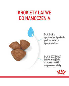 Royal Canin Mini Starter Mother&Babydog karma sucha dla szczeniąt do 2 miesiąca i suk karmiących ras małych 1kg