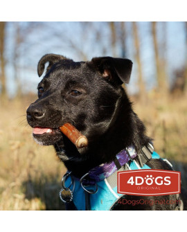 4DOGS Gryzak z penisa wołowego L